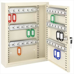 ACROPAQ Boite à clés pour 42 clés avec crochets réglables- Armoire à clés- 2 clés- Hauteur Réglable