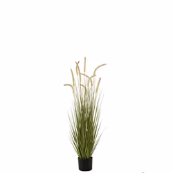J-Line plante Herbes + Graminees En Pot - plastique - vert - medium