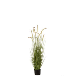 J-Line plante Herbes + Graminees En Pot - plastique - vert - medium