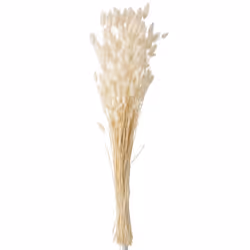 Bouquet de Fleurs Queue de Lièvre 86cm Écru