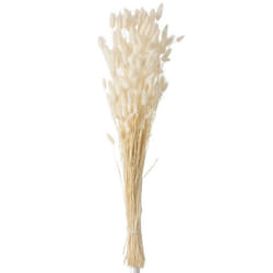 Bouquet de Fleurs Queue de Lièvre 86cm Écru