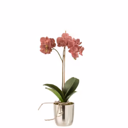 Orchidée et pot plastique ciment rose - J-line 23 Rose