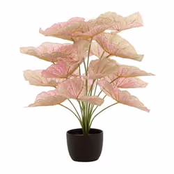 Plante Artificielle en Pot Caladium 57cm Rose Clair