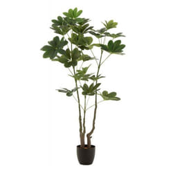 Plante Artificielle en Pot Pachira 157cm Vert