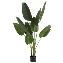 Plante Artificielle en Pot Strelitzia 165cm Vert