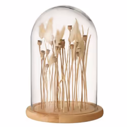 Cloche en Verre Déco Fleurs Séchées 26cm Écru