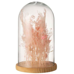 Cloche en Verre Déco Fleurs Séchées 38cm Rose