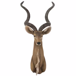 Trophée Mural Tête dAntilope 85cm Marron