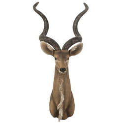 Trophée Mural Tête dAntilope 85cm Marron