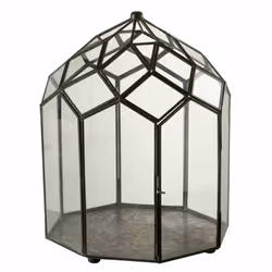 Terrarium en Verre Vintage Brisla 38cm Noir