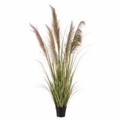 Herbe de Pampas Artificielle en Pot 5 Têtes 140cm Vert & Beige
