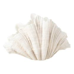 Vase Coquillage en Résine Puglia 57cm Blanc