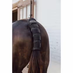 Protège-queue pour cheval Kentucky Pro