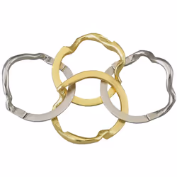 Gigamic Huzzle Cast Ring (Diff.4), 8 an(s)