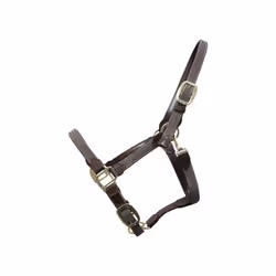 Licol pour cheval nylon tressé Kentucky