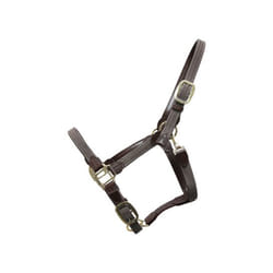 Licol pour cheval nylon tressé Kentucky