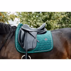 Tapis de CSO Kentucky
