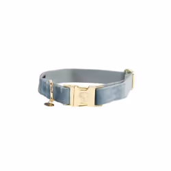 Collier pour chien Kentucky Velvet