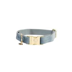Collier pour chien Kentucky Velvet