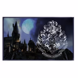 Tapis - Arditex - Harry Potter - 40 x 60 cm - Rectangulaire - Bleu