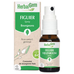 HerbalGem Figuier Spray Bio 15 ml