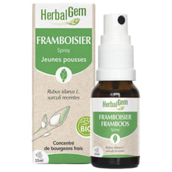 HerbalGem Framboisier Spray Bio 15 ml