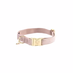 Collier pour chien Kentucky Velvet
