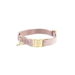 Collier pour chien Kentucky Velvet