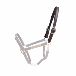 Licol pour cheval flexible tour de cou cuir Kentucky