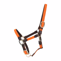 Licol pour cheval nylon tressé Kentucky