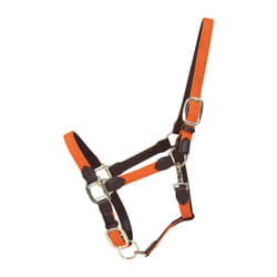 Licol pour cheval nylon tressé Kentucky