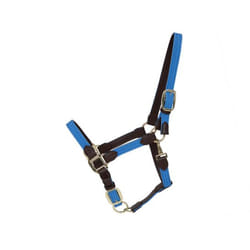 Licol pour cheval nylon tressé Kentucky