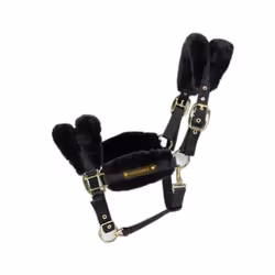 Licol pour cheval mouton Kentucky