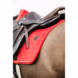 Tapis de selle pour cheval Kentucky
