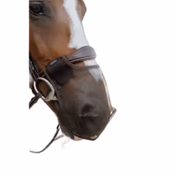 Masque anti-mouches pour cheval Kentucky