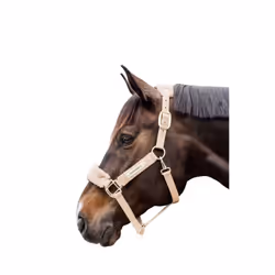 Licol pour cheval polaire Kentucky Teddy