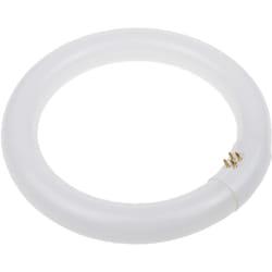 Sylvania - tl circline t9c 22w/840 cool white - 01961 -
