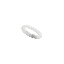 Sylvania - circulaire 32 w 12 Blanc froid 840