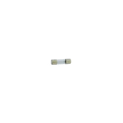 Velleman - fusible 5 x 20MM rapide 0.125A (10 pcs/boîte) fuses & accessories FF0.125N