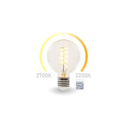 Ampoule à led intelligente smart wifi - couleur white warm & white warm warm warm warm warm - e27 - g95.