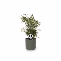Whadda WSAK201 accessoire de plantation