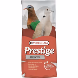 MElange de graines de haute qualitE pour T—s et de petits pigeons exotiques. Il est Egalement utilisE comme nourriture disper ...