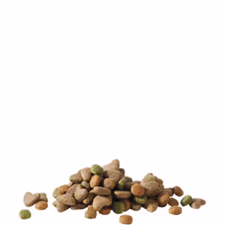 Versele-Laga Happy life 3 kg Chiot Poulet