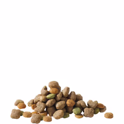 Versele-Laga Adult Mini with Lamb 3kg Adulte Agneau