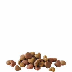 Versele-Laga Adult with Salmon 15 kg Adulte Poisson, Saumon
