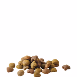 Versele-Laga Happy Life Light Senior 15kg Adulte Légumes