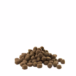 Versele-Laga Adult Active All Breeds 12,5 kg Adulte