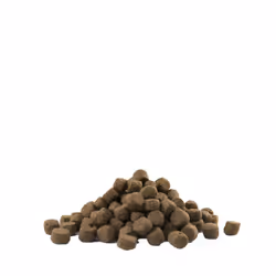 Versele-Laga Adult Digestion Medium & Maxi 12,5 kg Adulte