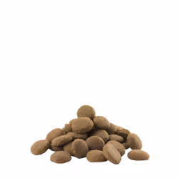 Versele-Laga Adult Maxi 12,5 kg Adulte