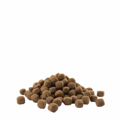 Versele-Laga Adult Medium 12,5 kg Adulte Poulet